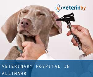 Veterinary Hospital in Alltmawr