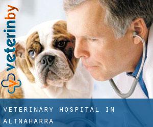 Veterinary Hospital in Altnaharra