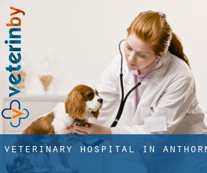 Veterinary Hospital in Anthorn