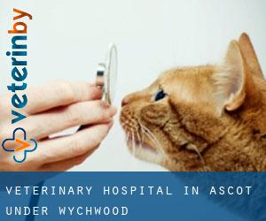 Veterinary Hospital in Ascot under Wychwood Veterinary Hospital in Ascot under Wychwood
