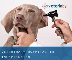 Veterinary Hospital in Ashsprington