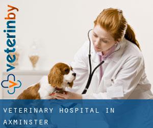 Veterinary Hospital in Axminster