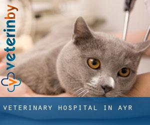 Veterinary Hospital in Ayr