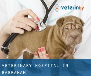 Veterinary Hospital in Babraham