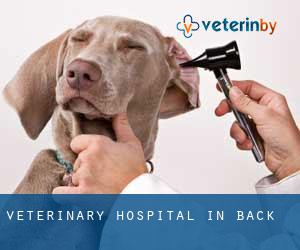 Veterinary Hospital in Back