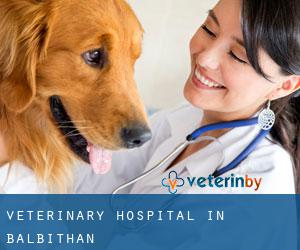 Veterinary Hospital in Balbithan