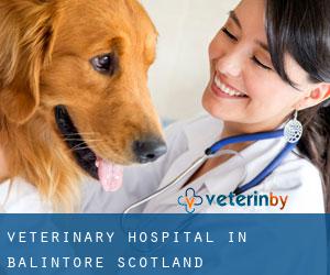 Veterinary Hospital in Balintore (Scotland)
