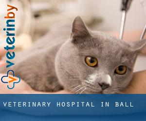 Veterinary Hospital in Ball