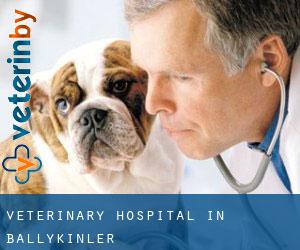 Veterinary Hospital in Ballykinler