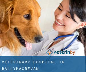 Veterinary Hospital in Ballymacrevan