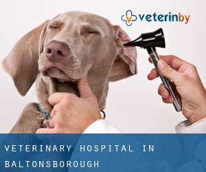 Veterinary Hospital in Baltonsborough Veterinary Hospital in Baltonsborough
