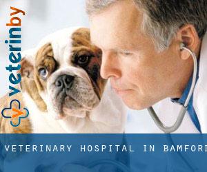 Veterinary Hospital in Bamford