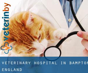 Veterinary Hospital in Bampton (England)