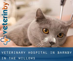 Veterinary Hospital in Barnby in the Willows