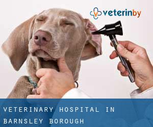 Veterinary Hospital in Barnsley (Borough)