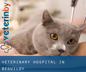 Veterinary Hospital in Beguildy