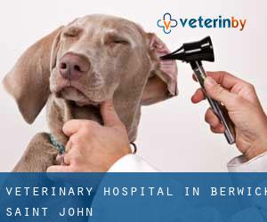 Veterinary Hospital in Berwick Saint John
