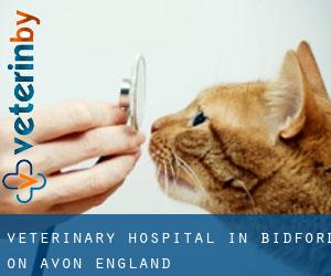 Veterinary Hospital in Bidford-on-Avon (England)