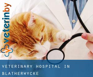 Veterinary Hospital in Blatherwycke