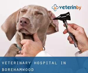 Veterinary Hospital in Borehamwood