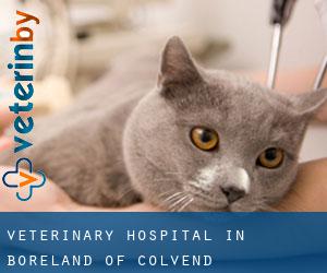 Veterinary Hospital in Boreland of Colvend