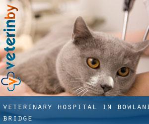 Veterinary Hospital in Bowland Bridge