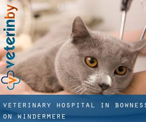 Veterinary Hospital in Bowness-on-Windermere