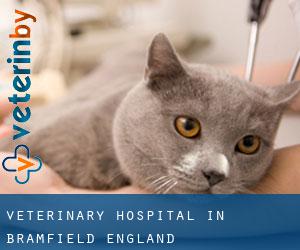 Veterinary Hospital in Bramfield (England)