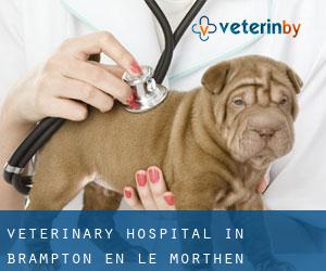 Veterinary Hospital in Brampton en le Morthen