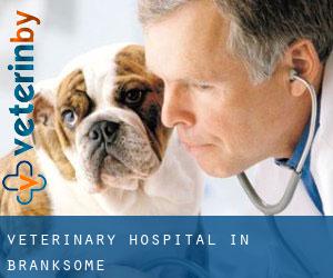 Veterinary Hospital in Branksome