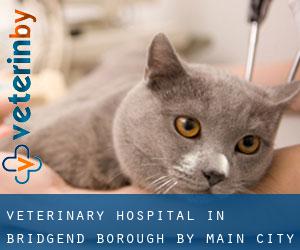Veterinary Hospital in Bridgend (Borough) by main city - page 1