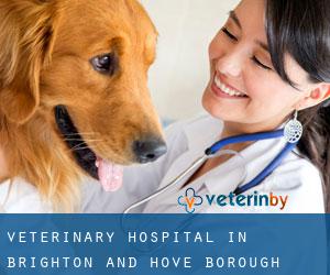 Veterinary Hospital in Brighton and Hove (Borough)