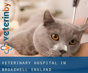 Veterinary Hospital in Broadwell (England) Veterinary Hospital in Broadwell (England)