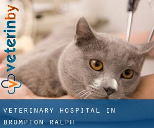 Veterinary Hospital in Brompton Ralph