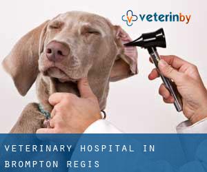 Veterinary Hospital in Brompton Regis Veterinary Hospital in Brompton Regis