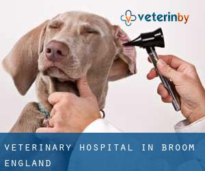 Veterinary Hospital in Broom (England)