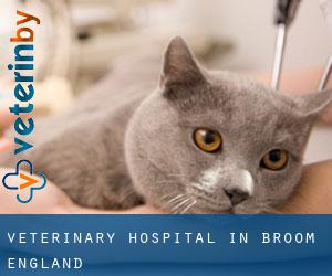 Veterinary Hospital in Broom (England)