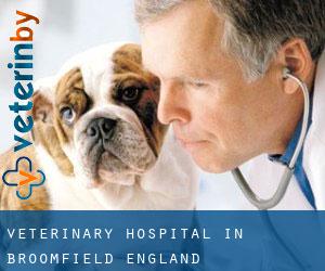 Veterinary Hospital in Broomfield (England)