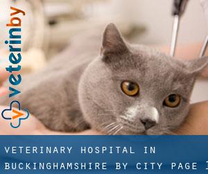 Veterinary Hospital in Buckinghamshire by city - page 1
