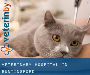 Veterinary Hospital in Buntingford