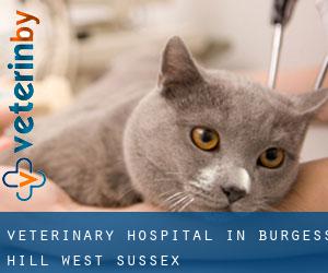 Veterinary Hospital in burgess hill, west sussex