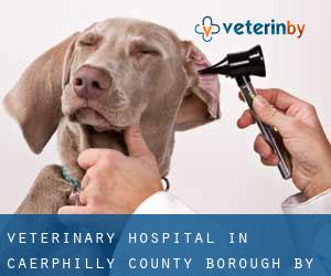 Veterinary Hospital in Caerphilly (County Borough) by main city - page 1