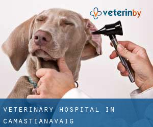 Veterinary Hospital in Camastianavaig