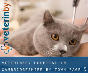 Veterinary Hospital in Cambridgeshire by town - page 5