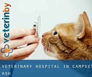 Veterinary Hospital in Campsey Ash