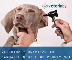 Veterinary Hospital in Carmarthenshire by county seat - page 1