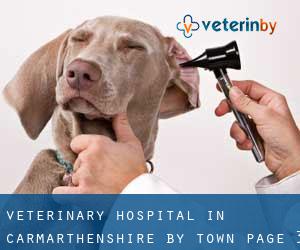 Veterinary Hospital in Carmarthenshire by town - page 3