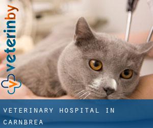 Veterinary Hospital in Carnbrea