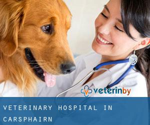 Veterinary Hospital in Carsphairn