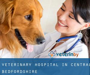 Veterinary Hospital in Central Bedfordshire